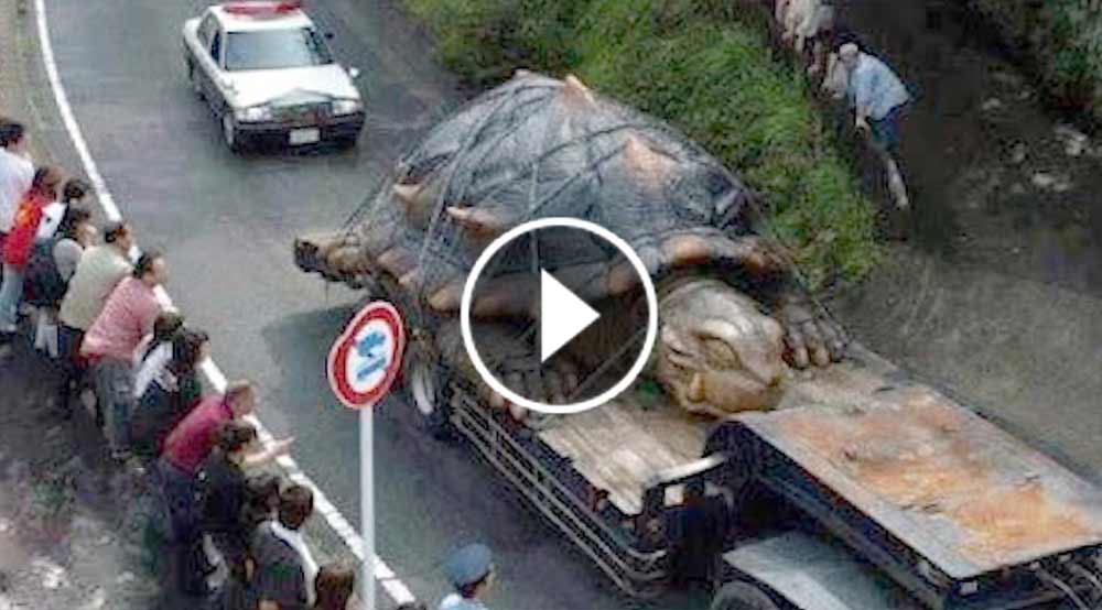 cele mai mari animale din lume