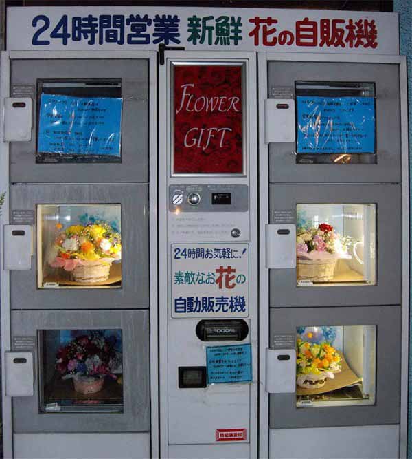 automate vending flori