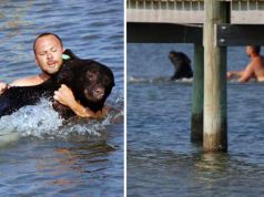 bărbat a salvat un urs