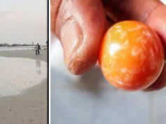 pescar sărac a găsit o perlă