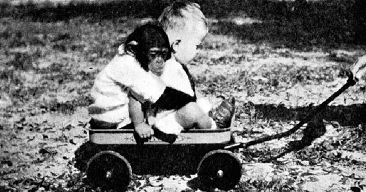 copil şi un cimpanzeu
