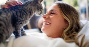 pisici şi riscul crescut de a dezvolta boli mintale